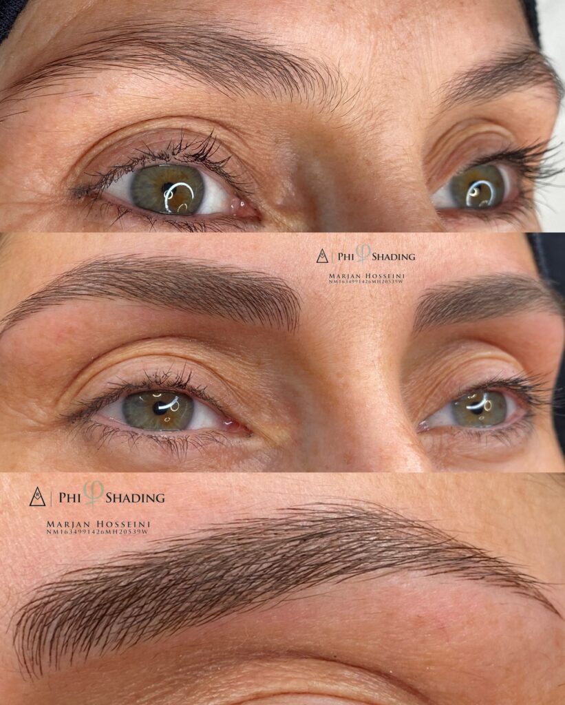 Was ist der Unterschied zwischen Phishading und Kombo Brows?