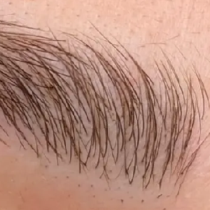 Microblading und Shading